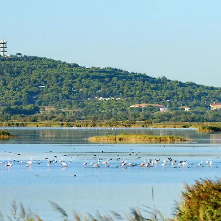 La Palme D'or-18 By Interhome * Agde