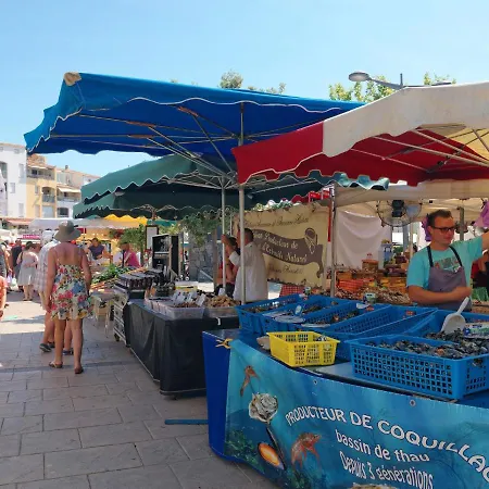 La Palme D'or-18 By Interhome